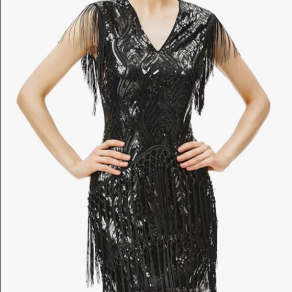 1920’s Flapper/Gatsby Dress